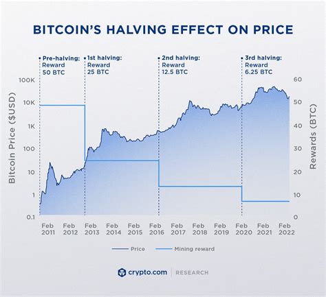 仮想通貨の半減期一覧！2023年から始まる大変動を見逃すな